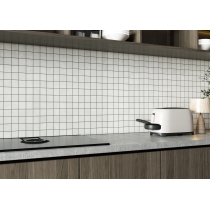 CAVANITE - 2X2/12X12, WHITE, MATTE